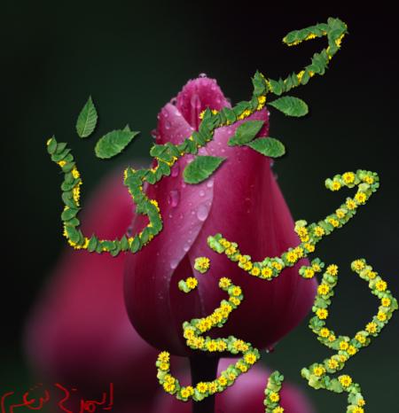 juste pour vous